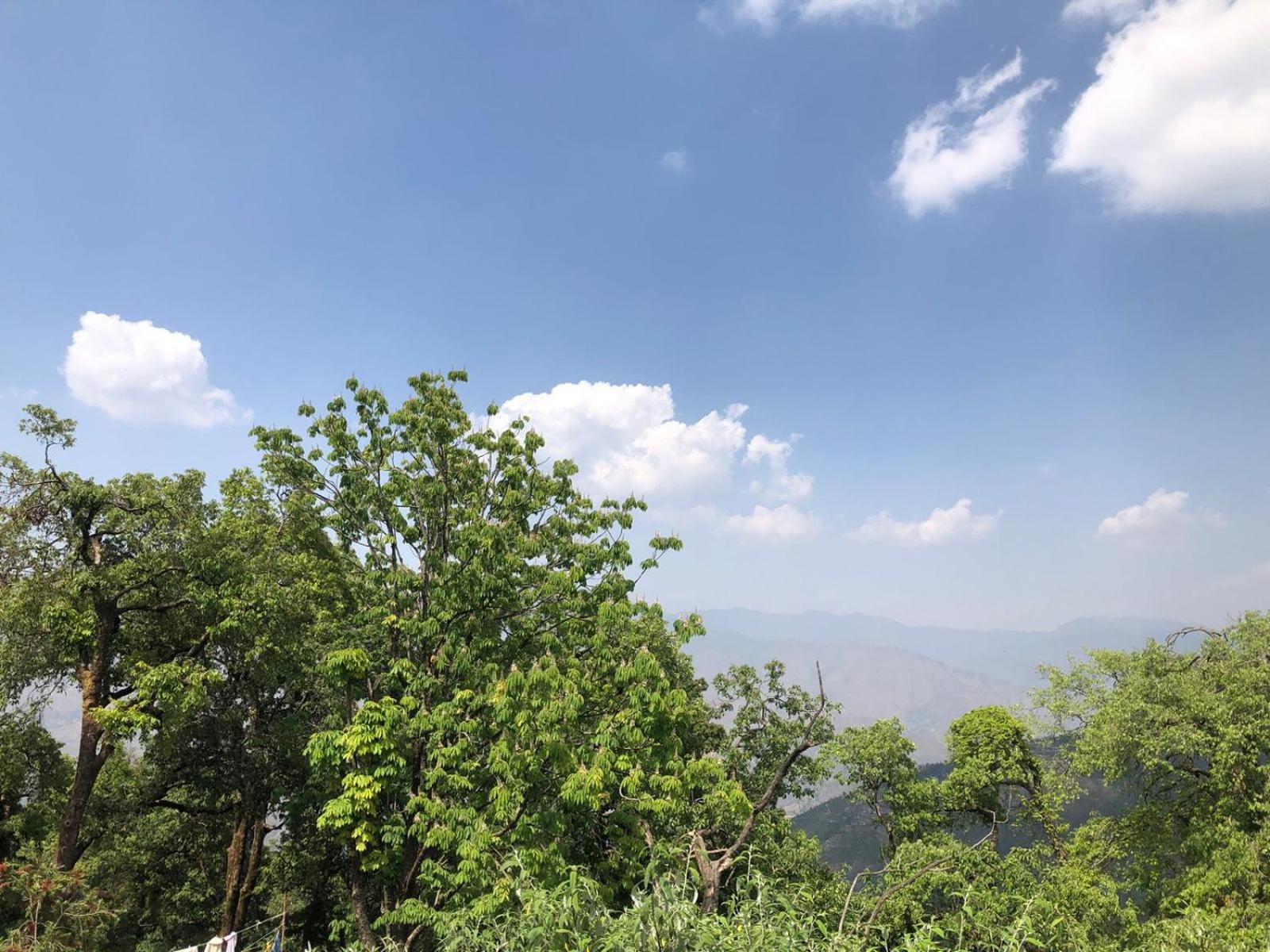 Jindal Home Stay מוסורי מראה חיצוני תמונה