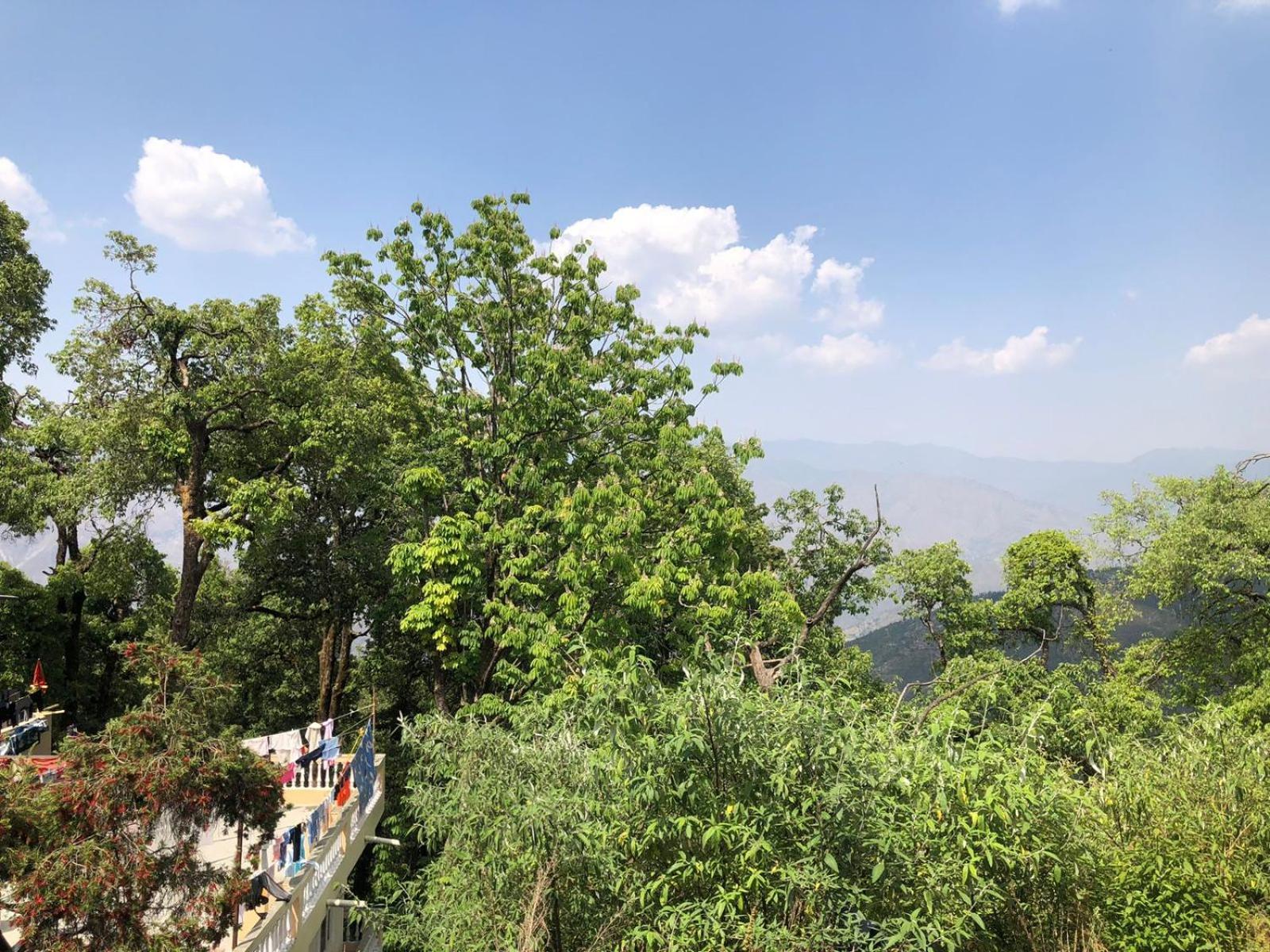 Jindal Home Stay מוסורי מראה חיצוני תמונה